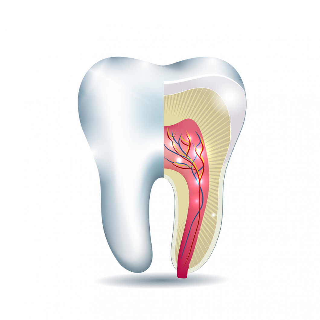 تقويم الاسنان, ابتسامة المشاهير, هووليود سمايل, تبييض الاسنان, تنظيف الاسنان, علاج الاسنان, افضل اخصائي تقويم الاسنان في ابوظبي, اجمل ابتسامة في ابوظبي