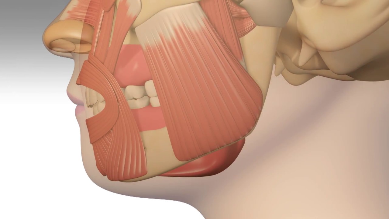 تقويم الاسنان, ابتسامة المشاهير, هووليود سمايل, تبييض الاسنان, تنظيف الاسنان, علاج الاسنان, افضل اخصائي تقويم الاسنان في ابوظبي, اجمل ابتسامة في ابوظبي